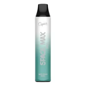 Space Max Disposable 4500 puffs (12)