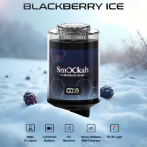 Smookah 100K Puff Disposable Hookah Head (2)