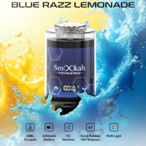 Smookah 100K Puff Disposable Hookah Head (3)